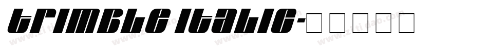 Trimble Italic字体转换